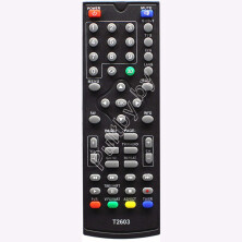 SkyVision T2202  T2603