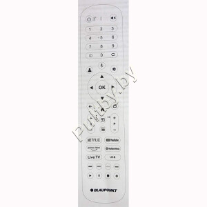 Blaupunkt 55MCG6000T